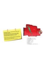 125 Mm Kilitli Krom Paslanmaz Klapeli Çekvalf